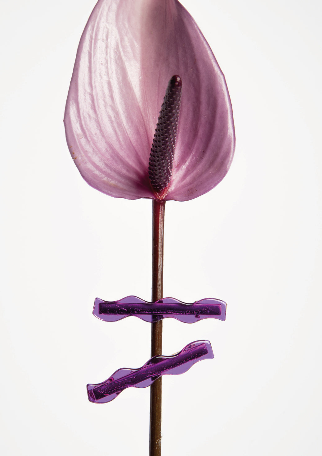 WAVE HAIR CLIP - PURPLE