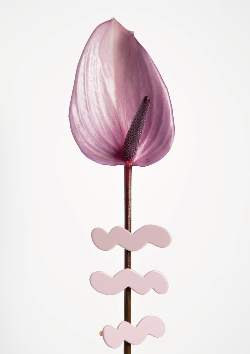SEA FOAM HAIR CLIP-LILAC