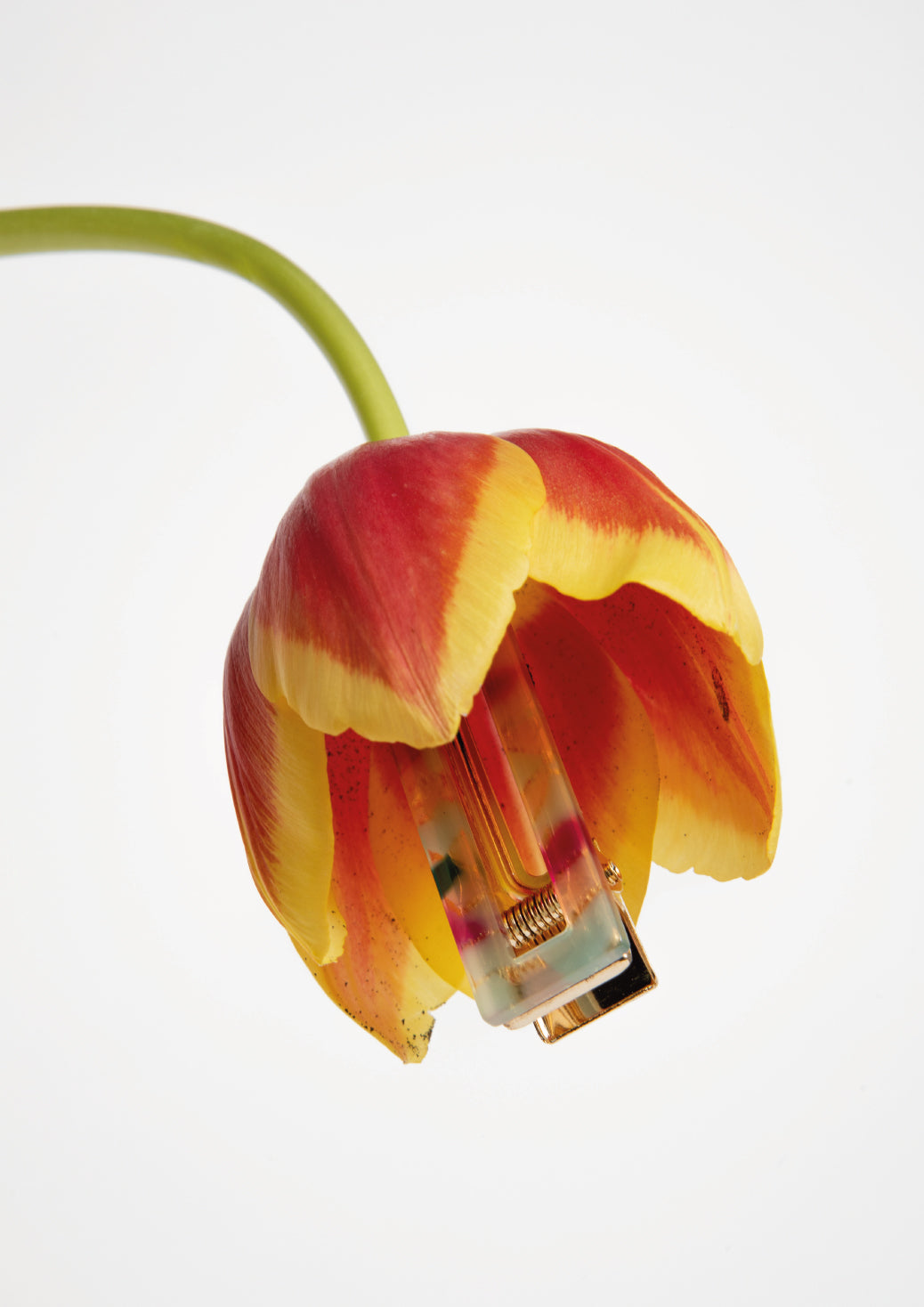 NOT SO CLASSIC HAIR CLIP - MULTICOLORED
