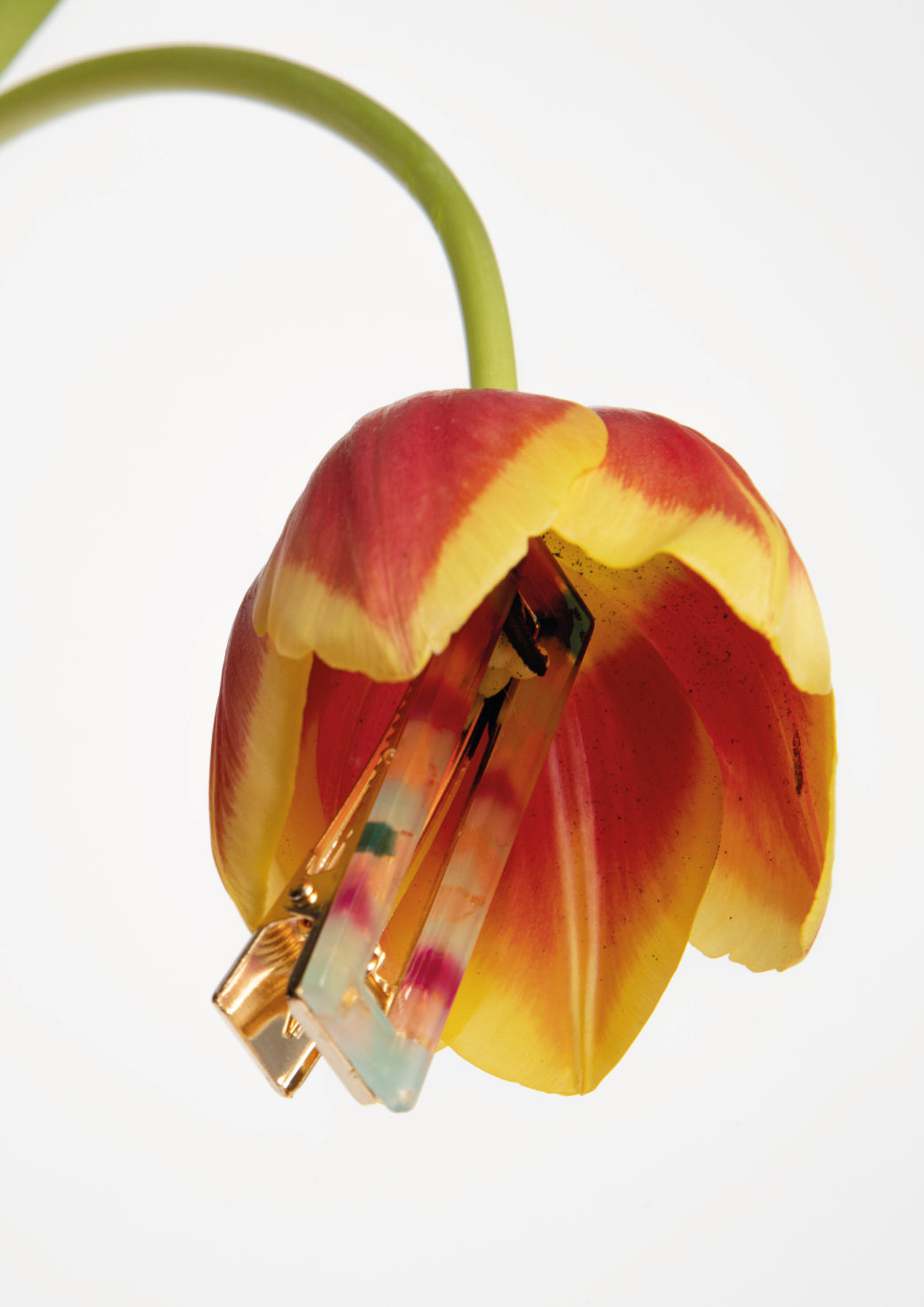 NOT SO CLASSIC HAIR CLIP - MULTICOLORED