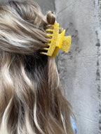 ASTER SHINY CLAW - YELLOW